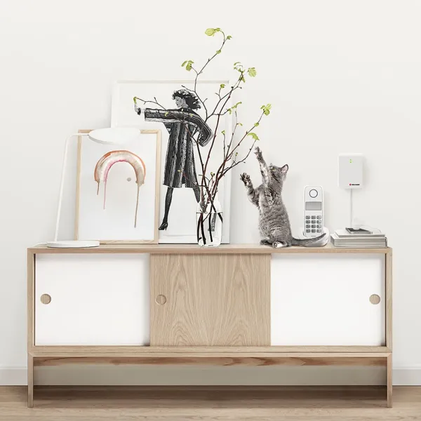 Bellman & Symfon Visit Telephone Transmitter